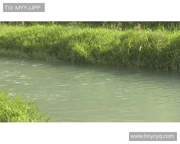 灰熊栖息地的变化对生态环境的影响及保护策略分析